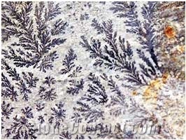 Pelion Stone - Fossilized Stone