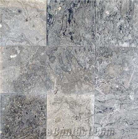 Steel Blue Lake Fossil Stone