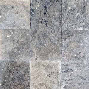 Steel Blue Lake Fossil Stone