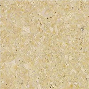 Caliza Fossil Limestone Slabs & Tiles