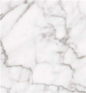 Bianco Gioia Venato Marble
