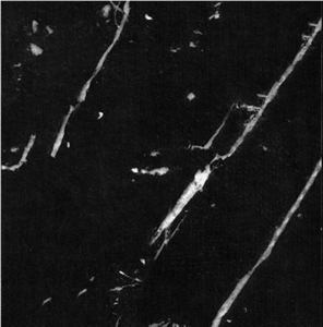 Negro Marquina Marble Slabs & Tiles, Spain Black Marble polished floor covering tiles, walling tiles