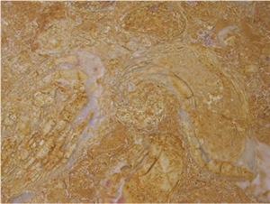 Amarelo Negrais Limestone Slabs & Tiles, Portugal Yellow Limestone