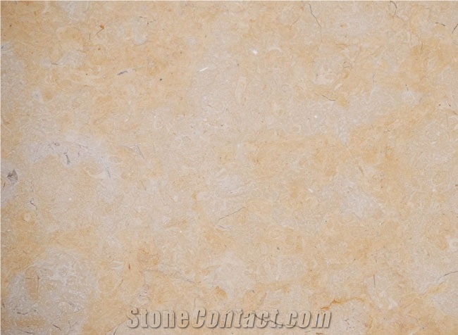 Ramon Gold Limestone, Israel Yellow Limestone Tiles, Slabs