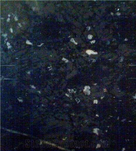Noir Berbere Marble Slabs & Tiles, Tunisia Black Marble