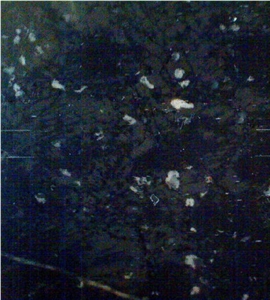 Noir Berbere Marble Slabs & Tiles, Tunisia Black Marble Noir Berbere Marble Slabs & Tiles, Tunisia Black Marble