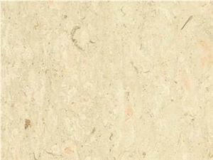 Canarian Cream Limestone Slabs & Tiles, Turkey Beige Limestone Canarian Cream Limestone Slabs & Tiles, Turkey Beige Limestone