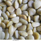 Beige Marble Pebble Stone