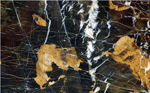 Black and Gold Marble Slabs & Tiles, Pakistan Black Marble