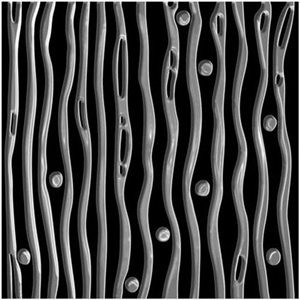 Backsplash Wall Tile, Art Tile Backsplash