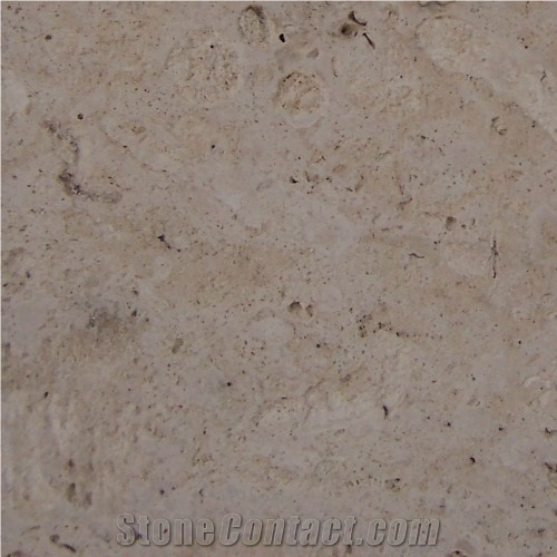 Piedra Coralina Limestone
