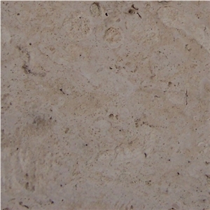 Piedra Coralina Limestone