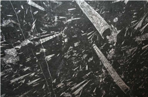 Nero Fossile, Fossil Black Limestone Slabs & Tiles