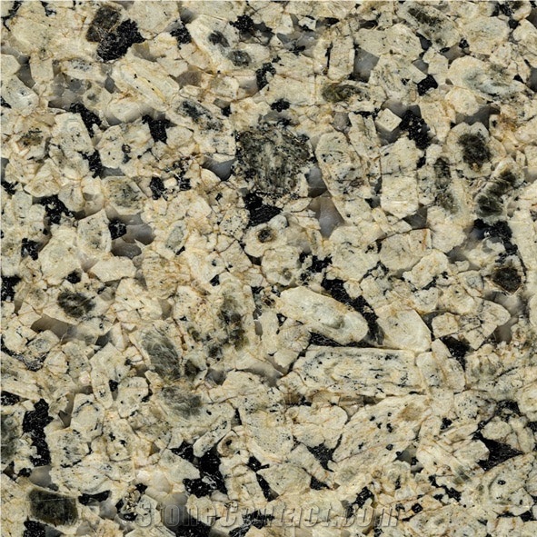 Jungle Green Egypt Granite Slabs & Tiles