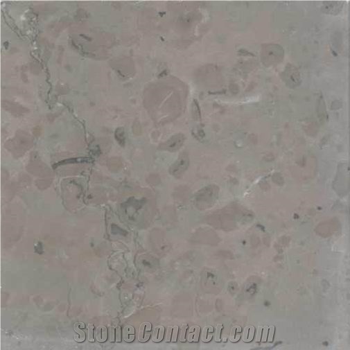 Pierre De Ruoms Limestone Slabs & Tiles, France Grey Limestone