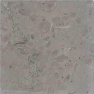 Pierre De Ruoms Limestone Slabs & Tiles, France Grey Limestone Pierre De Ruoms Limestone Slabs & Tiles, France Grey Limestone