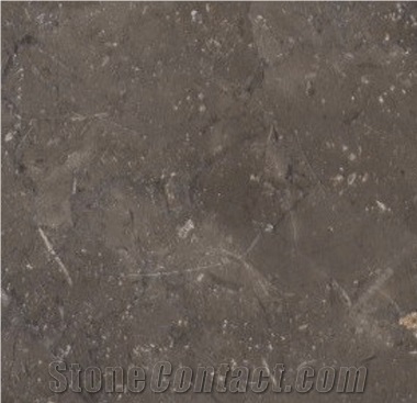Meli Brown Marble Slabs & Tiles, Egypt Brown Marble