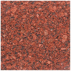 Gem Red Granite Slabs & Tiles, India Red Granite