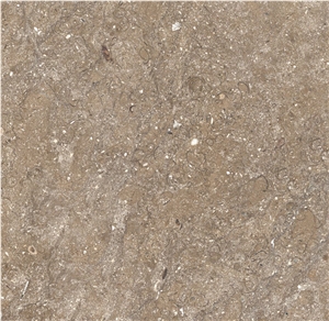 Autumn Brown Limestone Slabs & Tiles
