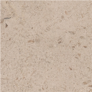 Amelas Fossil Limestone Slabs & Tiles, Turkey Grey Limestone