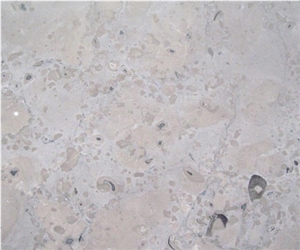 Ruoms Limestone Slabs, France Beige Limestone