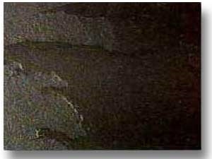 Jak Black Slate Slabs & Tiles