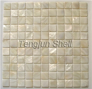 Mother Of Pearl Mosaic Mother Of Pearl Mosaic
