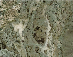 Cream Bamboo Quartzite Slabs & Tiles