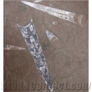 Fossil Brown Limestone Slabs & Tiles, Morocco Brown Limestone