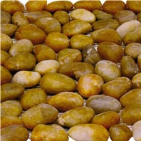 Yellow Pebble Stone