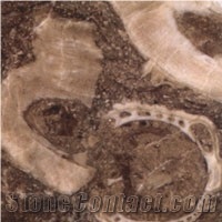 Rasotica Limestone Slabs & Tiles, Croatia Brown Limestone