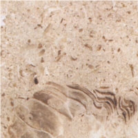 Veselje Fiorito Limestone, Croatia Beige Limestone Slabs & Tiles