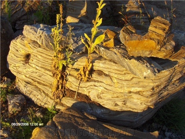 Canyon Stone-Brown