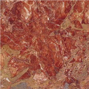 Brecha Tavira Marble Slabs & Tiles