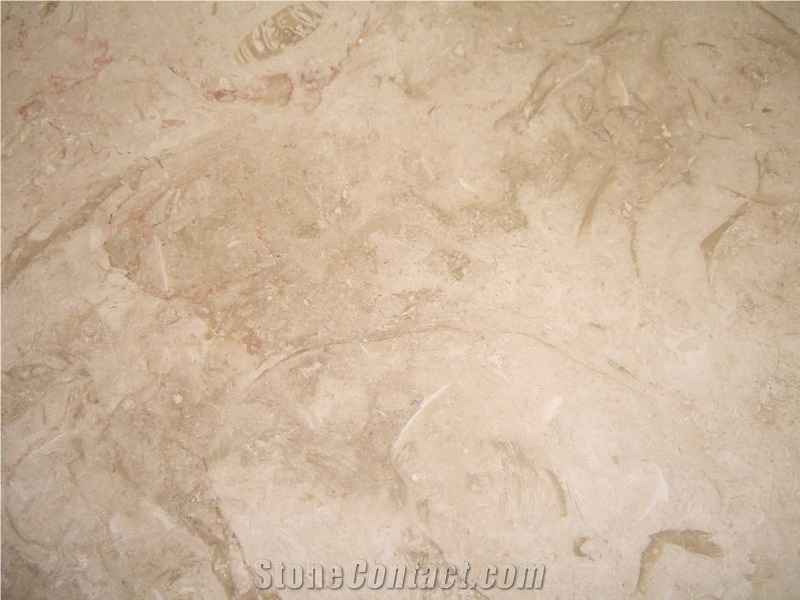 Ramon Gray Limestone, Ramon Grey Limestone Slabs