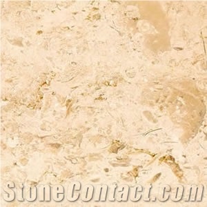 Crema Nova Spain Limestone