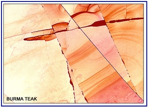 Burma Teak Marble Slabs & Tiles, Pakistan Yellow Marble