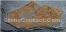 Slate Mushroom Stone