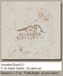 Jerusalem Bone Limestone Slabs & Tiles, Israel White Limestone