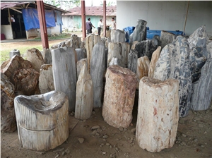 Wood Fossil Natural Stone