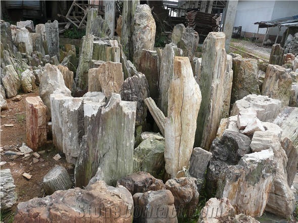 Wood Fossil Natural Stone