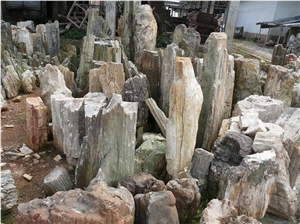 Wood Fossil Natural Stone