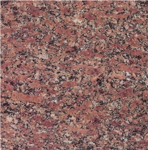 Desert Brown Granite Slabs & Tiles, India Brown Granite