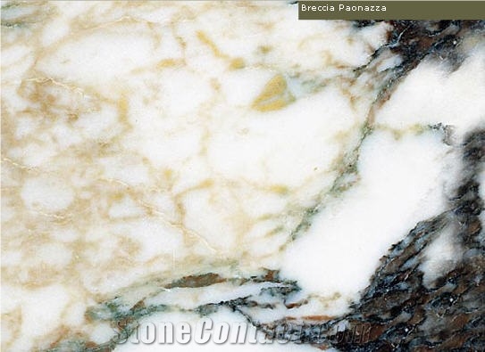 Breccia Paonazza Marble Slabs & Tiles