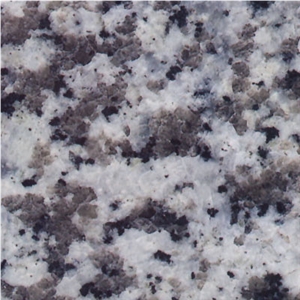 G439 Granite Slabs & Tiles,China Grey Granite Natural Stone