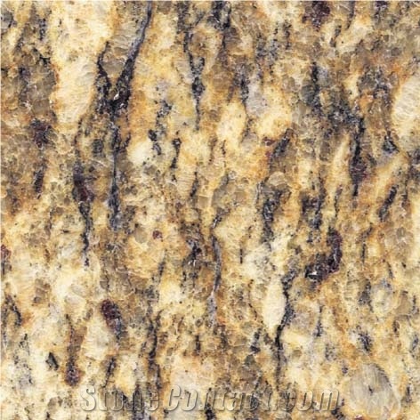 Giallo Santa Cecilia Granite Slabs & Tiles, Brazil Yellow Granite