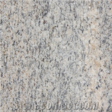New Venetian Gold Granite,Vienna Gold Granite Slabs & Tiles