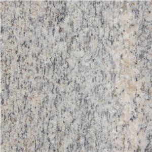 New Venetian Gold Granite,Vienna Gold Granite Slabs & Tiles