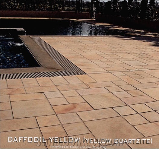 Daffodil Yellow - Quartzite Gold Vein