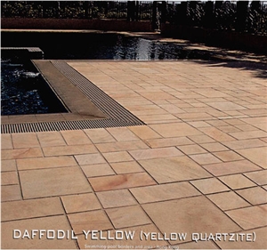 Daffodil Yellow - Quartzite Gold Vein